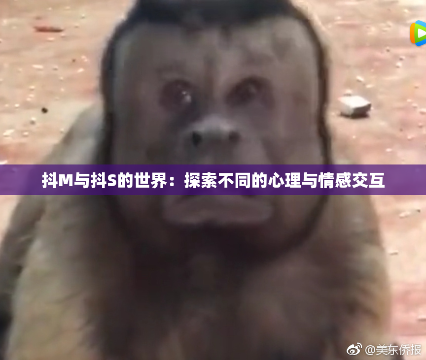 抖M与抖S的世界：探索不同的心理与情感交互