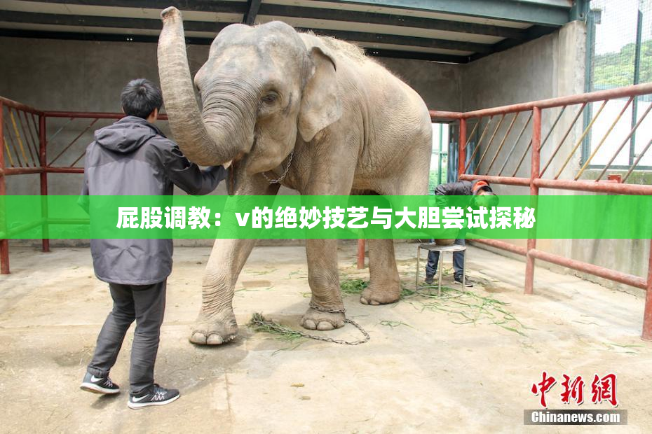 屁股调教：v的绝妙技艺与大胆尝试探秘