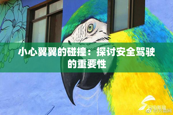 小心翼翼的碰撞：探讨安全驾驶的重要性