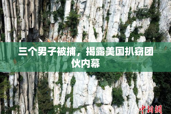 三个男子被捕，揭露美国扒窃团伙内幕