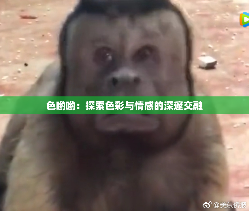 色哟哟：探索色彩与情感的深邃交融