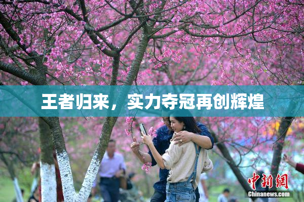 王者归来，实力夺冠再创辉煌