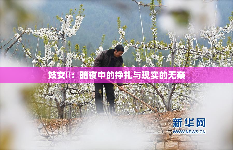 妓女梱：暗夜中的挣扎与现实的无奈