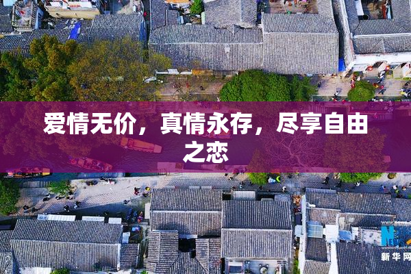 爱情无价，真情永存，尽享自由之恋