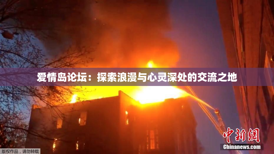 爱情岛论坛：探索浪漫与心灵深处的交流之地