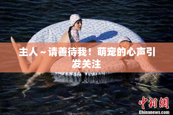 主人～请善待我！萌宠的心声引发关注