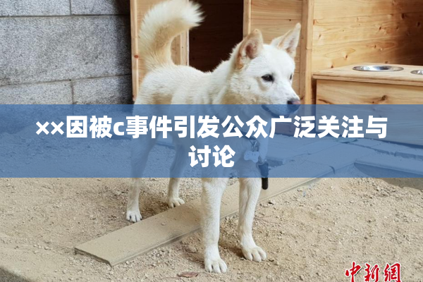 ××因被c事件引发公众广泛关注与讨论