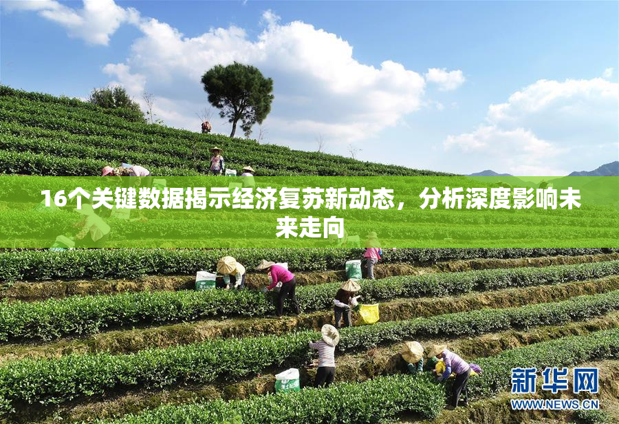 16个关键数据揭示经济复苏新动态，分析深度影响未来走向