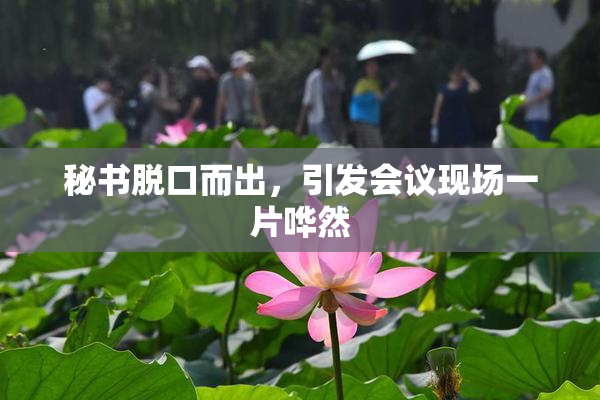 秘书脱口而出，引发会议现场一片哗然