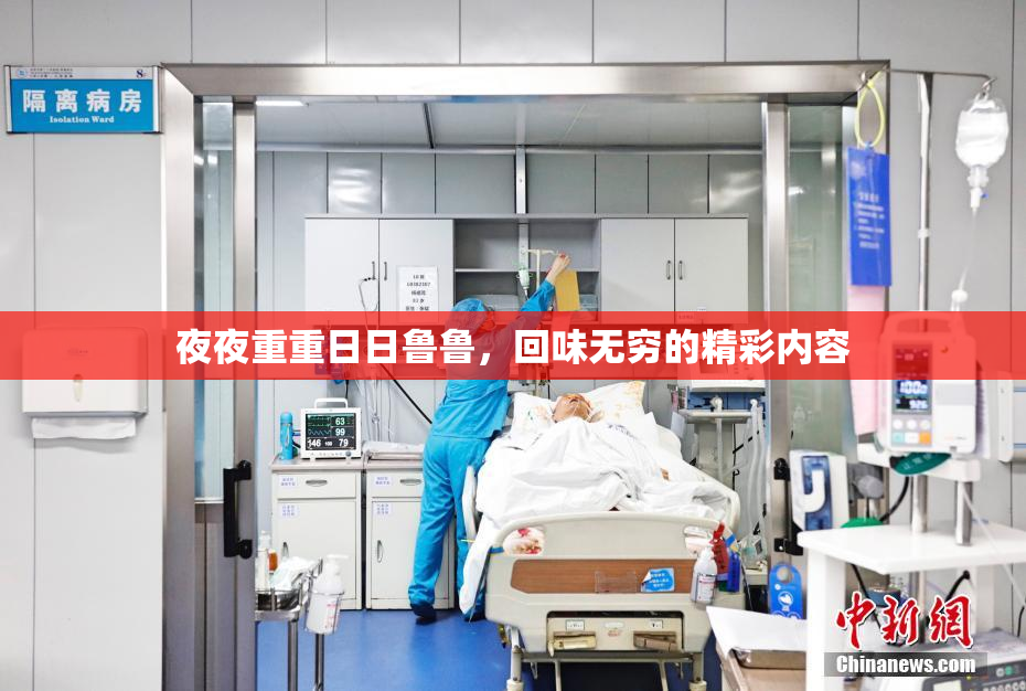 夜夜重重日日鲁鲁，回味无穷的精彩内容