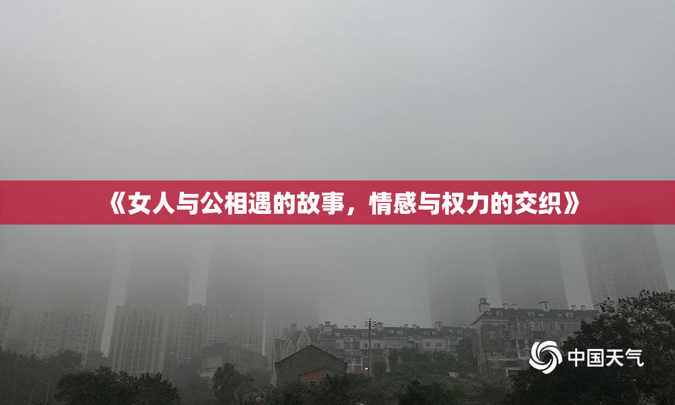 《女人与公相遇的故事，情感与权力的交织》