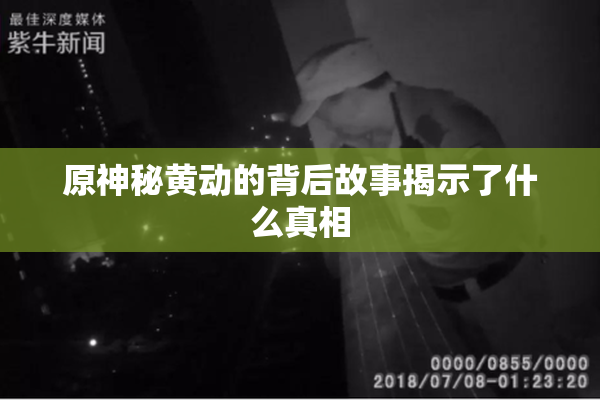 原神秘黄动的背后故事揭示了什么真相