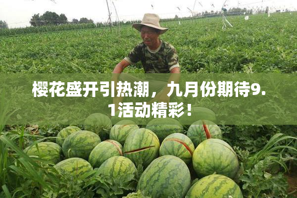 樱花盛开引热潮，九月份期待9.1活动精彩！
