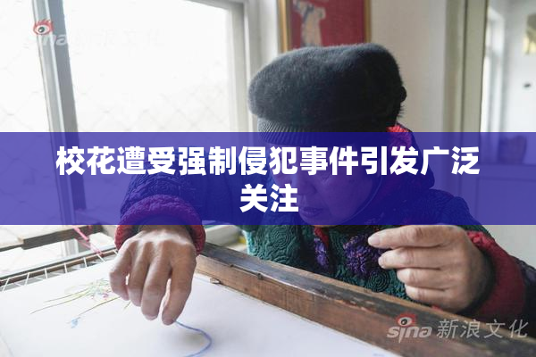 校花遭受强制侵犯事件引发广泛关注