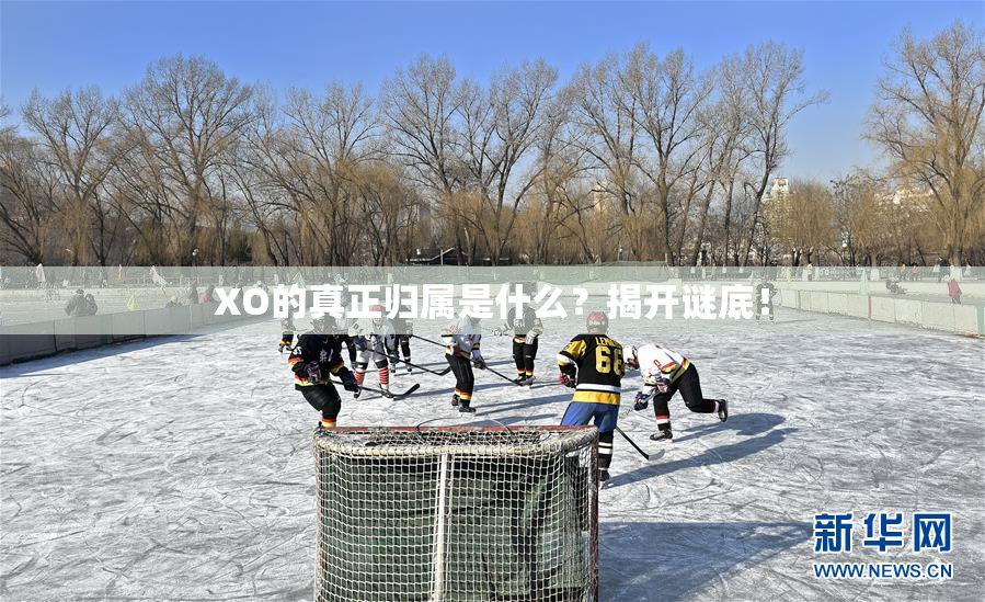 XO的真正归属是什么？揭开谜底！