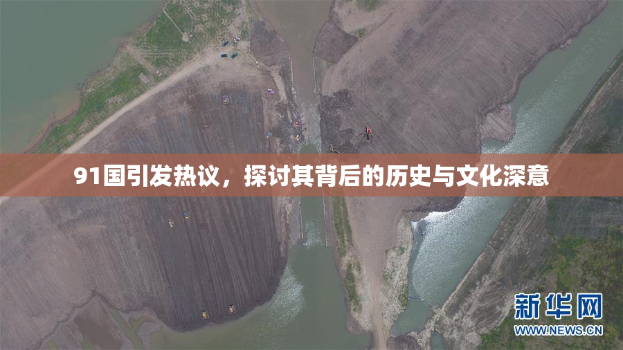 91国引发热议，探讨其背后的历史与文化深意